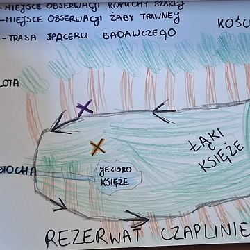 Nasze płazy - rozstrzygnięcie konkursu Grafika Nasze płazy - rozstrzygnięcie konkursu