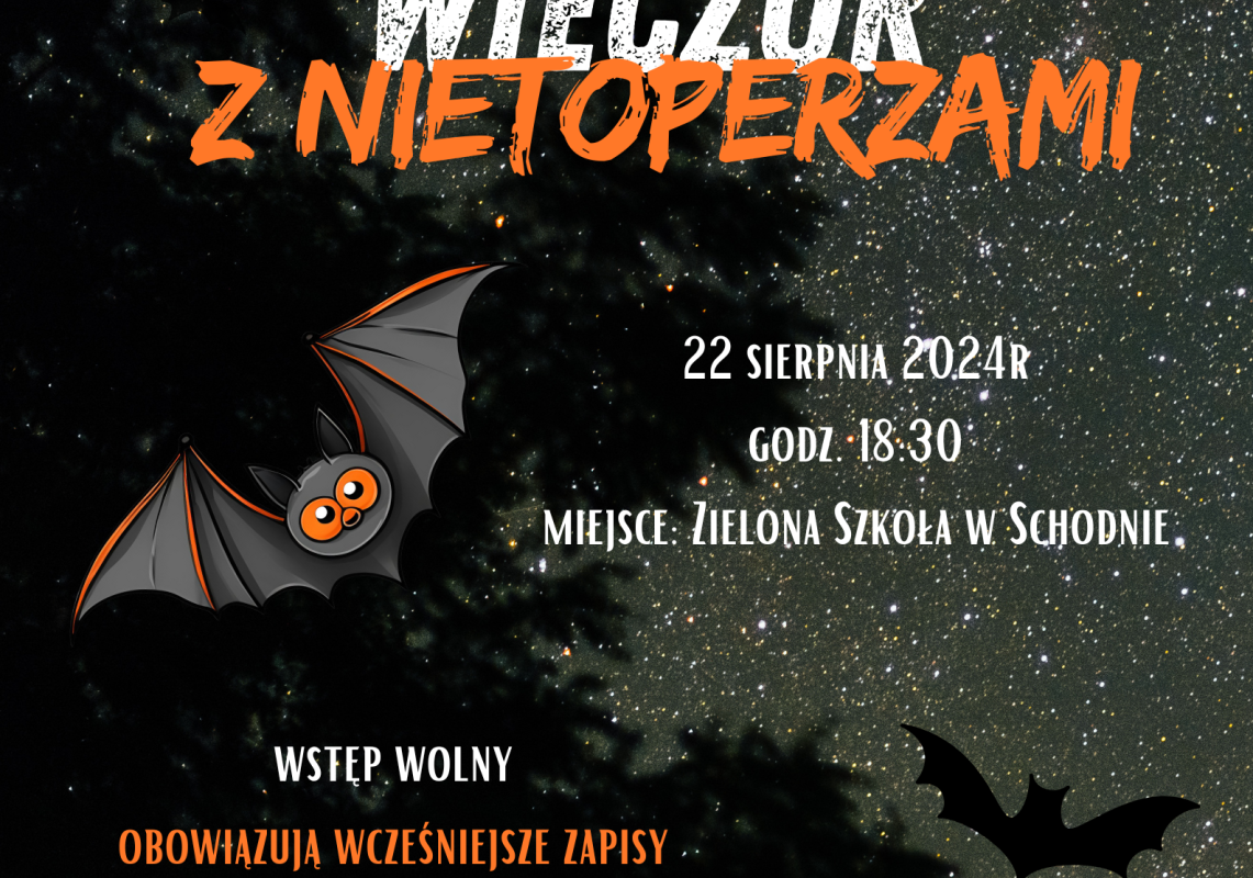 Plakat zapraszający na wieczór z nietoperzmi Grafika Wieczór z nietoperzami - zaproszenie