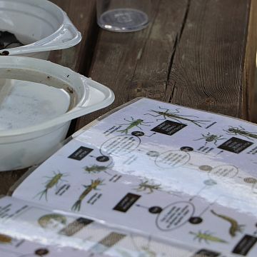 Wdzydzkie Warsztaty Ekologiczne 2026 - podsumowanie Grafika Wdzydzkie Warsztaty Ekologiczne 2026 - podsumowanie