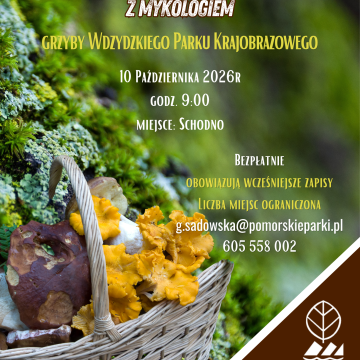 Grzyby Wdzydzkiego Parku Krajobrazowego - zaproszenie na warsztaty Grafika Grzyby Wdzydzkiego Parku Krajobrazowego - zaproszenie na warsztaty